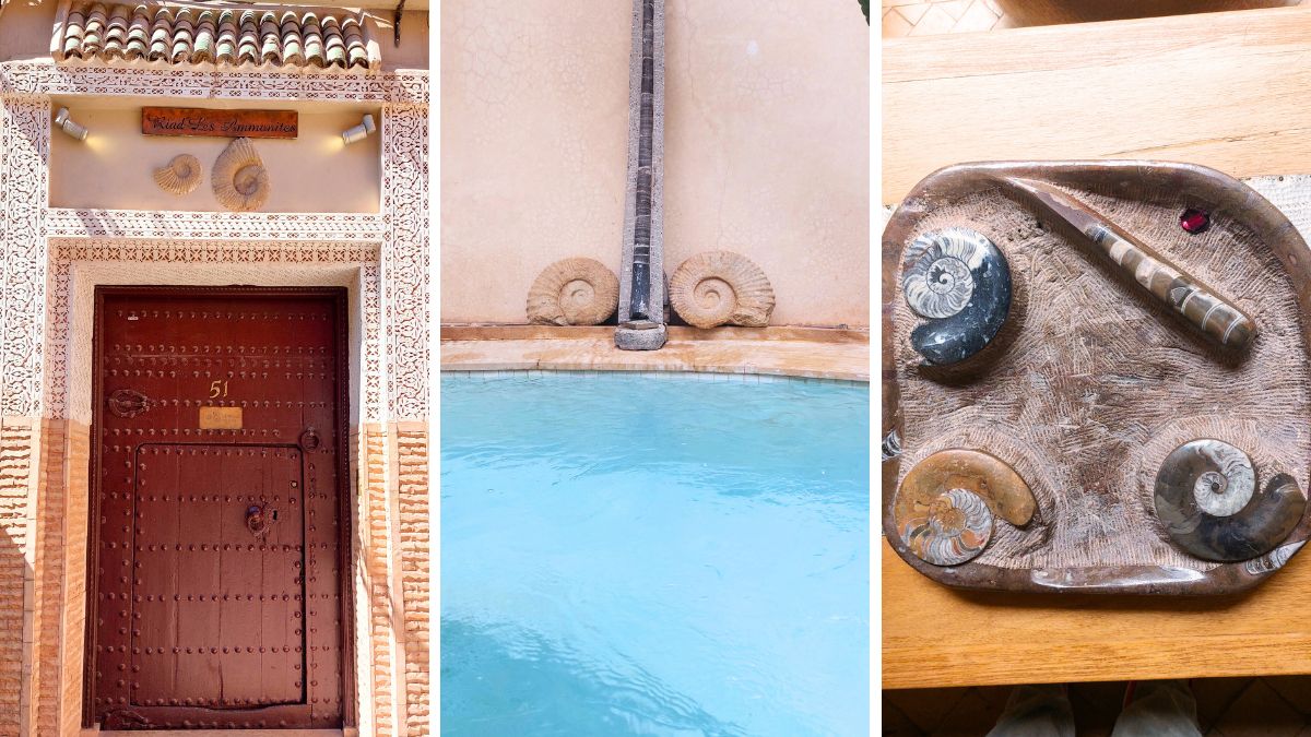 il Marocco è un luogo molto rinomato che il ritrovamento di ammoniti, le più scenografiche a forma di spirale e fossili. Questo perché un tempo il Sahara marocchino era sommerso dall’ oceano, rendendolo uno dei giacimenti di fossili più importanti al mondo. I reperti provengono spesso da antichi fondali marini ormai emersi nel deserto e rappresentano una risorsa significativa per la paleontologia e l'artigianato locale.
Infatti è ancora possibile ritrovare ammoniti e fossili tra Erfoud e Merzouga e in generale nella zona sud orientale.
Insomma, queste “conchiglie” dalla forma sinuosa hanno fatto breccia nel cuore dei proprietari, tanto da farlo diventare l’elemento simbolo del riad.
