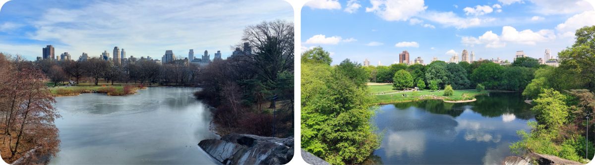 New York ha quattro stagioni ben definite: un inverno freddo, un’estate calda e umida, una primavera estremamente instabile e un autunno che spesso sembra uscito da un film.
Ma ciò che sorprende davvero chi visita la città per la prima volta non è tanto la temperatura media. È la velocità con cui il tempo può cambiare. Esattamente come ho già accennato prima con la battuta del mio amico. Puoi uscire al mattino con la felpa, ritrovarti in t-shirt a pranzo e cercare disperatamente una giacca impermeabile per la sera. E no, non significa che hai scelto il mese sbagliato. A New York tutto ciò è assolutamente normale.
Il risultato è un clima molto dinamico, molto teatrale e spesso imprevedibile.