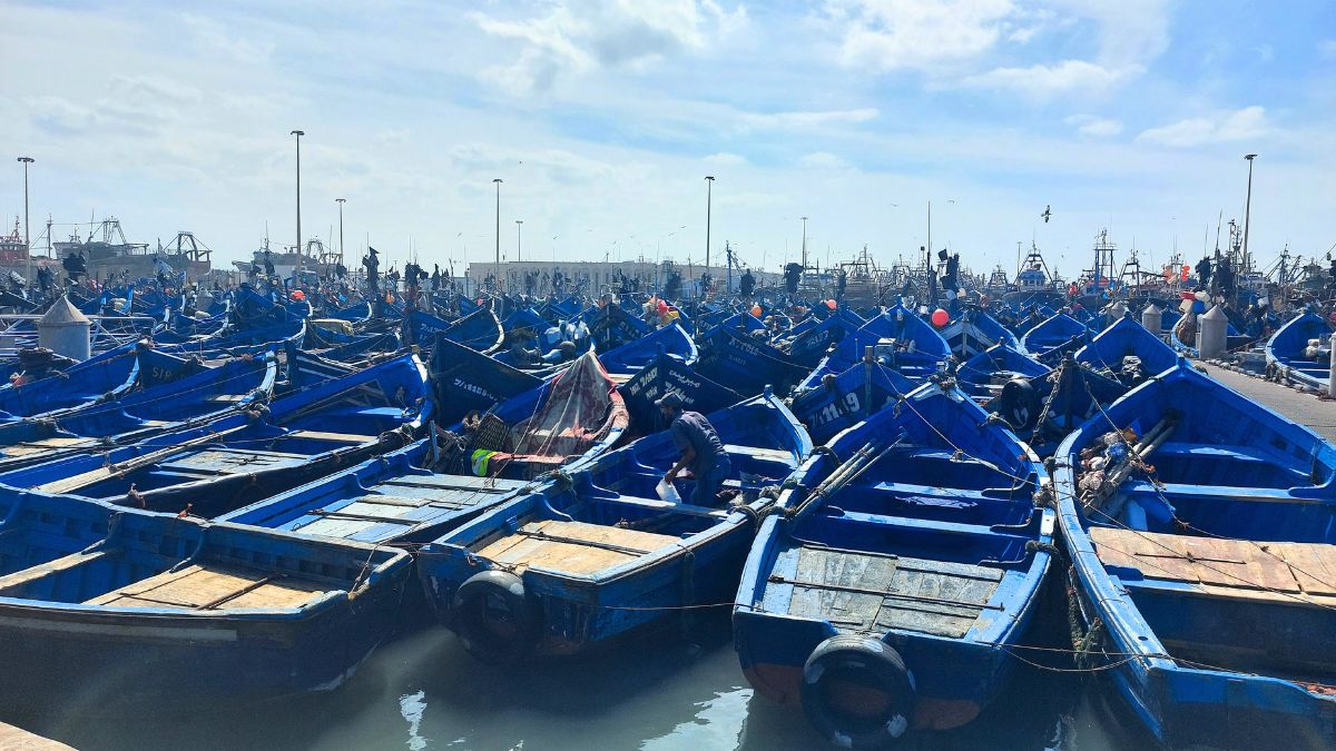 Una delle esperienze più vere che puoi fare a Essaouira è fermarti al porto. Qui la città cambia volto: niente boutique curate o riad eleganti, ma pescatori al lavoro, barche blu allineate e un’energia caotica ma affascinante.
